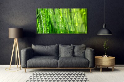 Akrilo stiklo paveikslas Žolinių augalų gamta