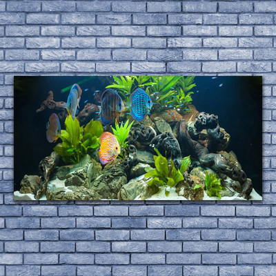 Paveikslas ant akrilinio stiklo Žuvies akvariumo gamta