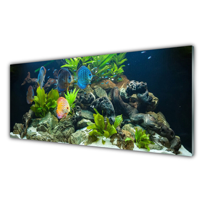 Paveikslas ant akrilinio stiklo Žuvies akvariumo gamta