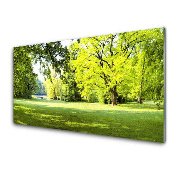 Akrilo stiklo paveikslas Grass Trees Park Gamta