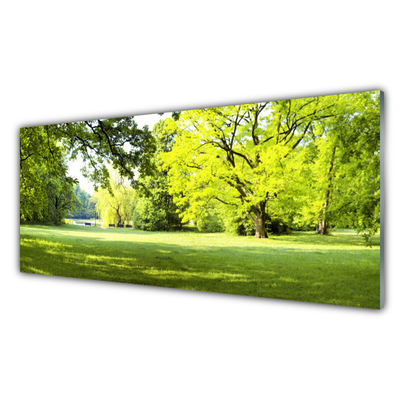 Akrilo stiklo paveikslas Grass Trees Park Gamta