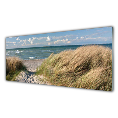 Paveikslas ant akrilinio stiklo Paplūdimio jūros žolės peizažas