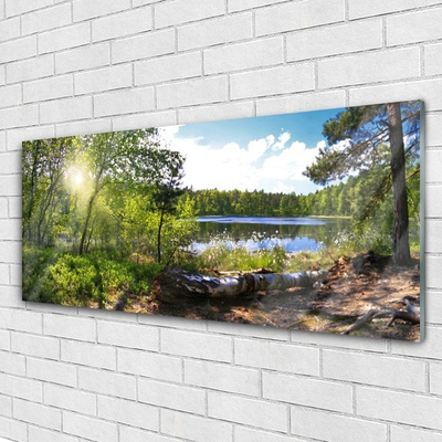 Akriliniai paveikslas Miško medžiai Ežeras Gamta