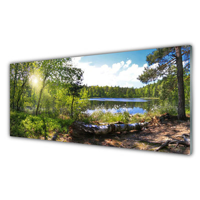 Akriliniai paveikslas Miško medžiai Ežeras Gamta