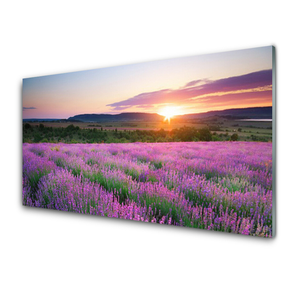 Akriliniai paveikslas Lavender Fields Meadow West