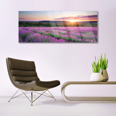 Akriliniai paveikslas Lavender Fields Meadow West