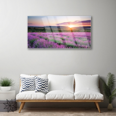 Akriliniai paveikslas Lavender Fields Meadow West