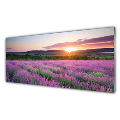 Akriliniai paveikslas Lavender Fields Meadow West