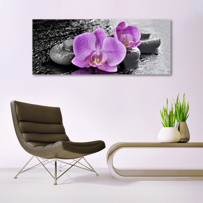 Paveikslas ant akrilinio stiklo Orchidėjų gėlės Orchid SPA