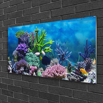 Akrilo stiklo paveikslas Žuvies akvariumas po vandeniu