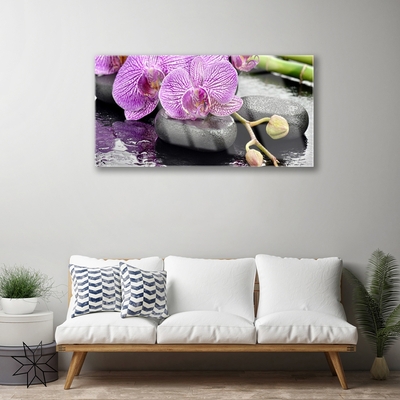 Akrilo stiklo paveikslas Orchid Zen Orchid SPA