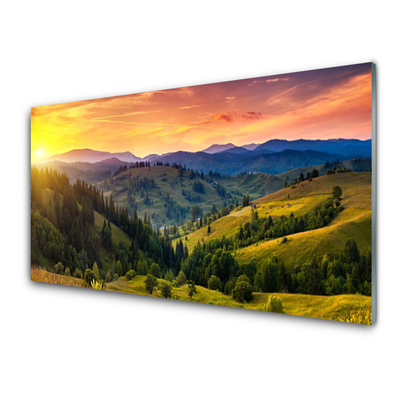 Akrilo stiklo paveikslas Kraštovaizdžio pievos saulėlydis