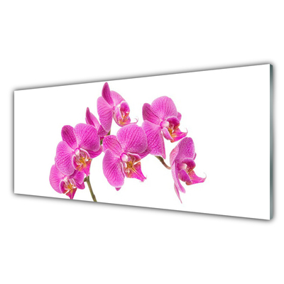 Akriliniai paveikslas Orchidėjų gėlės gamta