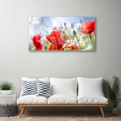 Akrilo stiklo paveikslas Aguonos Ramunės Gėlės