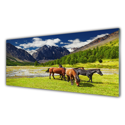 Paveikslas ant akrilinio stiklo Kalnai Medžiai Arkliai Gyvūnai