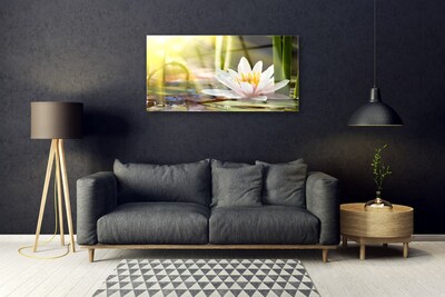 Akriliniai paveikslas Vandens lelijos gėlė