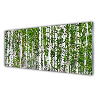 Virtuvės stiklo plokštė Beržų miško medžiai Gamta