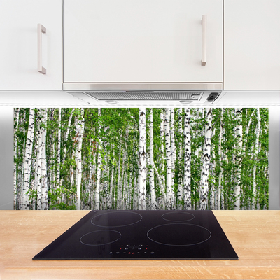 Virtuvės stiklo plokštė Beržų miško medžiai Gamta