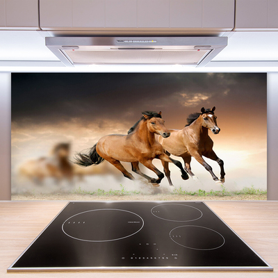 Virtuvės stiklo plokštė Arkliai Gyvūnai