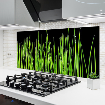 Virtuvės sieninės plokštė Žolės augalas
