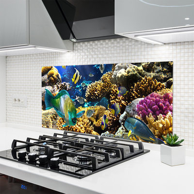 Virtuvės sienos plokštė Koralinio rifo gamta