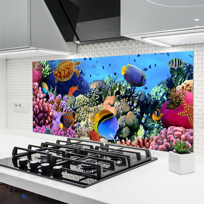 Virtuvės sieninės plokštė Koralinio rifo gamta