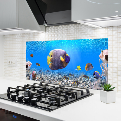 Virtuvės stiklo plokštė Žuvies gamta