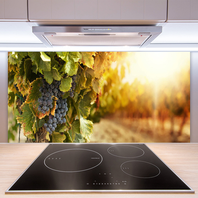 Virtuvės sienos plokštė Vynuogių lapai Virtuvė