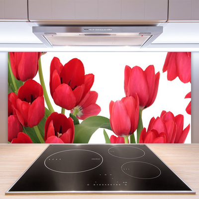 Virtuvės stiklo plokštė Tulpių gėlių augalas