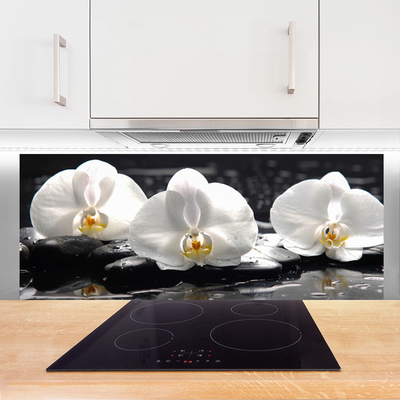 Virtuvės sieninės plokštė Balta orchidėjų gėlė