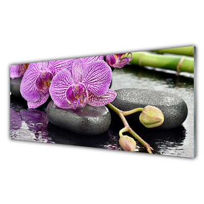 Virtuvės stiklo plokštė Orchid Zen Orchid SPA