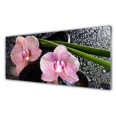 Virtuvės sieninės plokštė Gėlės Orchid Orchid Zen