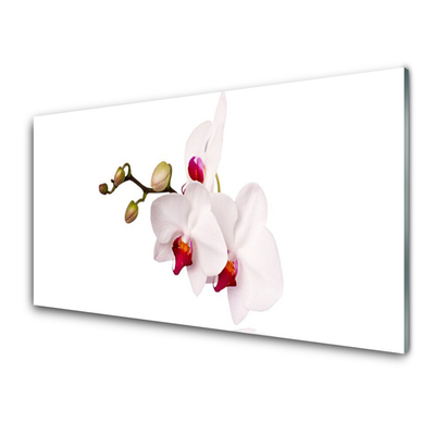Virtuvės sienos plokštė Gėlės Gamta Orchidėja