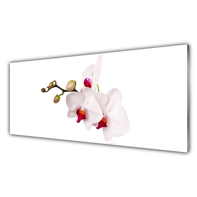 Virtuvės sienos plokštė Gėlės Gamta Orchidėja