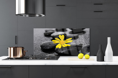 Virtuvės sienos plokštė Geltonų gėlių SPA gamta
