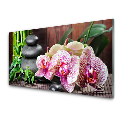 Virtuvės sieninės plokštė Bamboo Orchid SPA