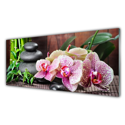 Virtuvės sieninės plokštė Bamboo Orchid SPA