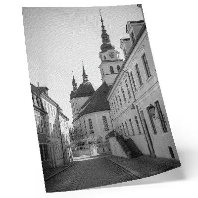 Sieninis plakatas istoriniai pastatai su elegantiškomis architektūrinėmis detalėmis