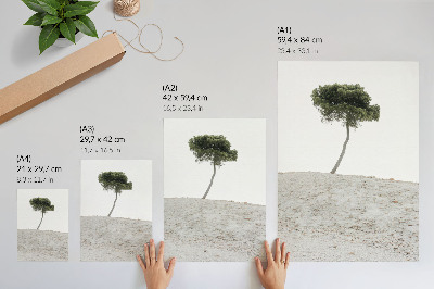Plakatas Vienišas medis šviesiame fone, minimalizmas