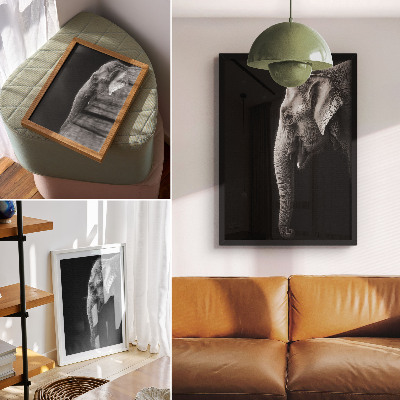 Plakatas svetainei Monochrominis dramblio profilio portretas
