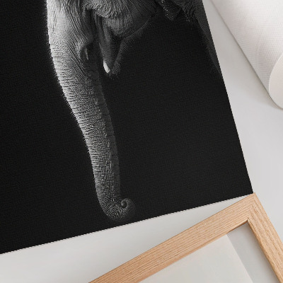 Plakatas svetainei Monochrominis dramblio profilio portretas