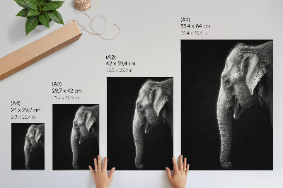 Plakatas svetainei Monochrominis dramblio profilio portretas