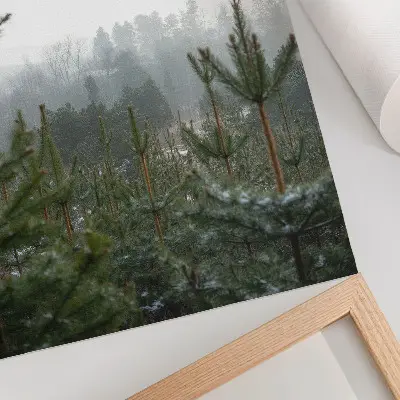 Dekoratyvinis plakatas su žalių pušų ir rūko motyvu subtiliam gyliui bei atpalaiduojančiai atmosferai sukurti