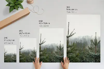Dekoratyvinis plakatas su žalių pušų ir rūko motyvu subtiliam gyliui bei atpalaiduojančiai atmosferai sukurti