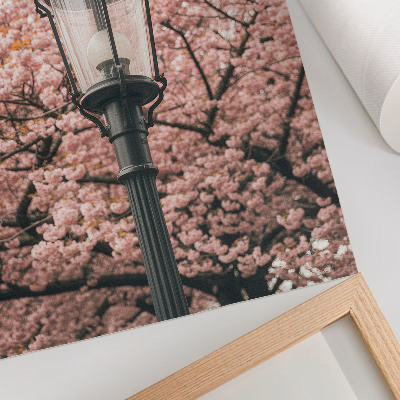 Plakatas svetainei Rožiniai medžiai, juodas žibintas, nostalgiška atmosfera