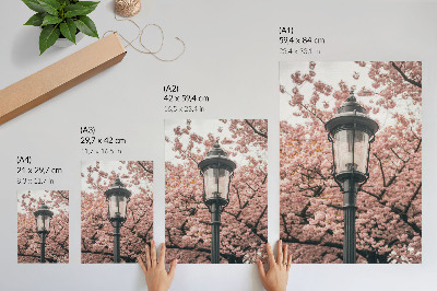 Plakatas svetainei Rožiniai medžiai, juodas žibintas, nostalgiška atmosfera