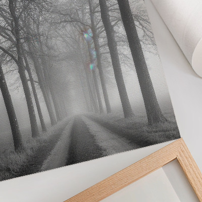 Sieninis plakatas Miglotų medžių alėja Modernus minimalizmas