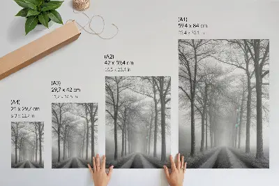 Sieninis plakatas miglotų medžių alėja modernaus minimalizmo stiliaus