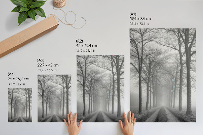 Sieninis plakatas Miglotų medžių alėja Modernus minimalizmas