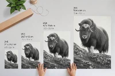 Plakatas Juodai baltas gyvūnas, neapdorota gamta, elegancija